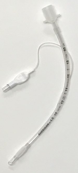 veterinary endotracheal tubes